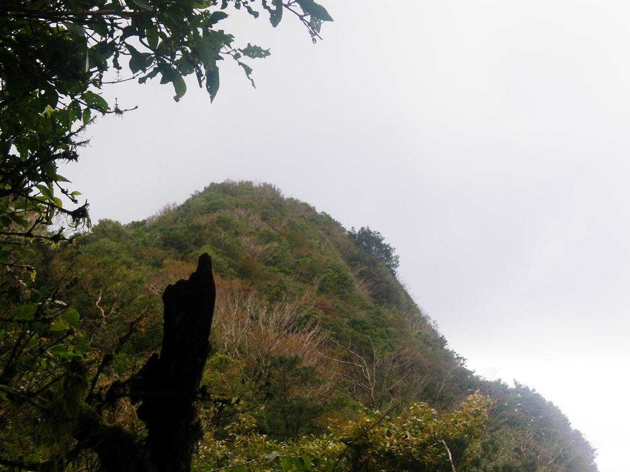 あっちょっ英彦山っぽくない❔❔❗