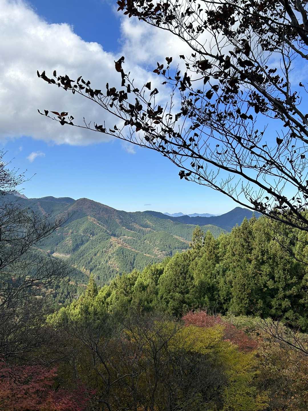 伊豆ヶ岳登山口-ツガの木台-長岩峠-伊豆ヶ岳 往復コースの写真