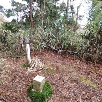 辨天岳三等三角点
◬弁天岳984.16ｍ