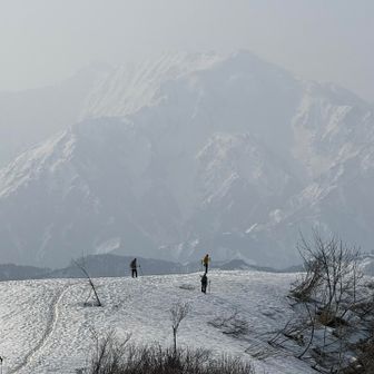 いい感じ
ありがとうございます♪