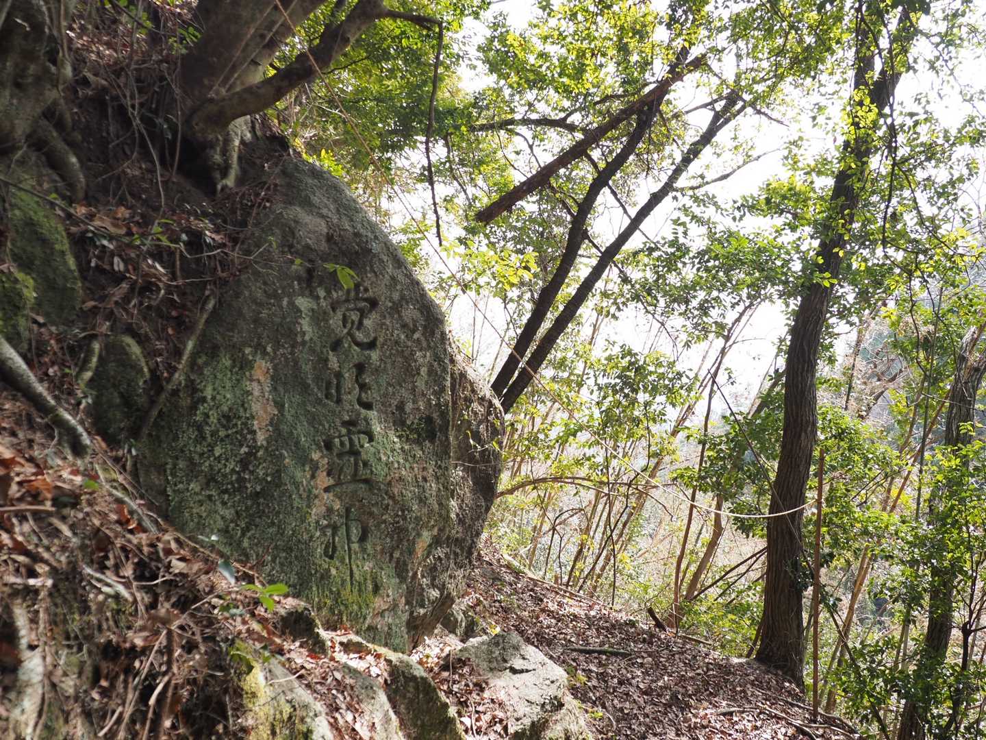 ありがとうございました꒰ღ˘◡˘ற꒱
ステキ✨なお山⛰です
