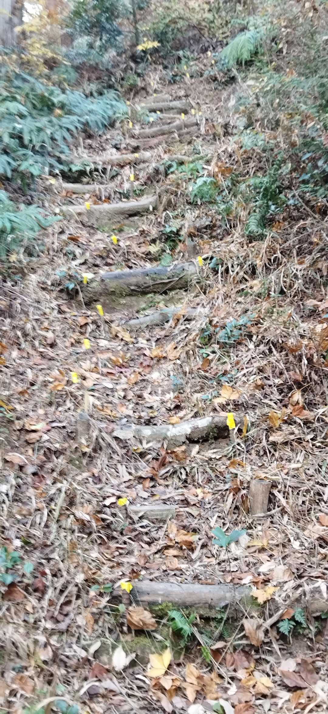 鉄筋棒が危ない❗️
