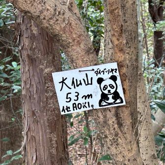 イセAOKIさん😊