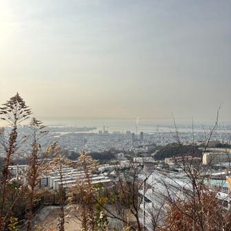 おはよう神戸☀️
今日は油コブシ登山口からスタート🥾