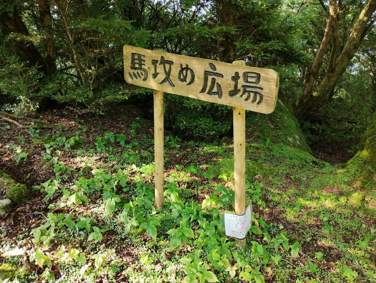 なんか怖っ🐴
