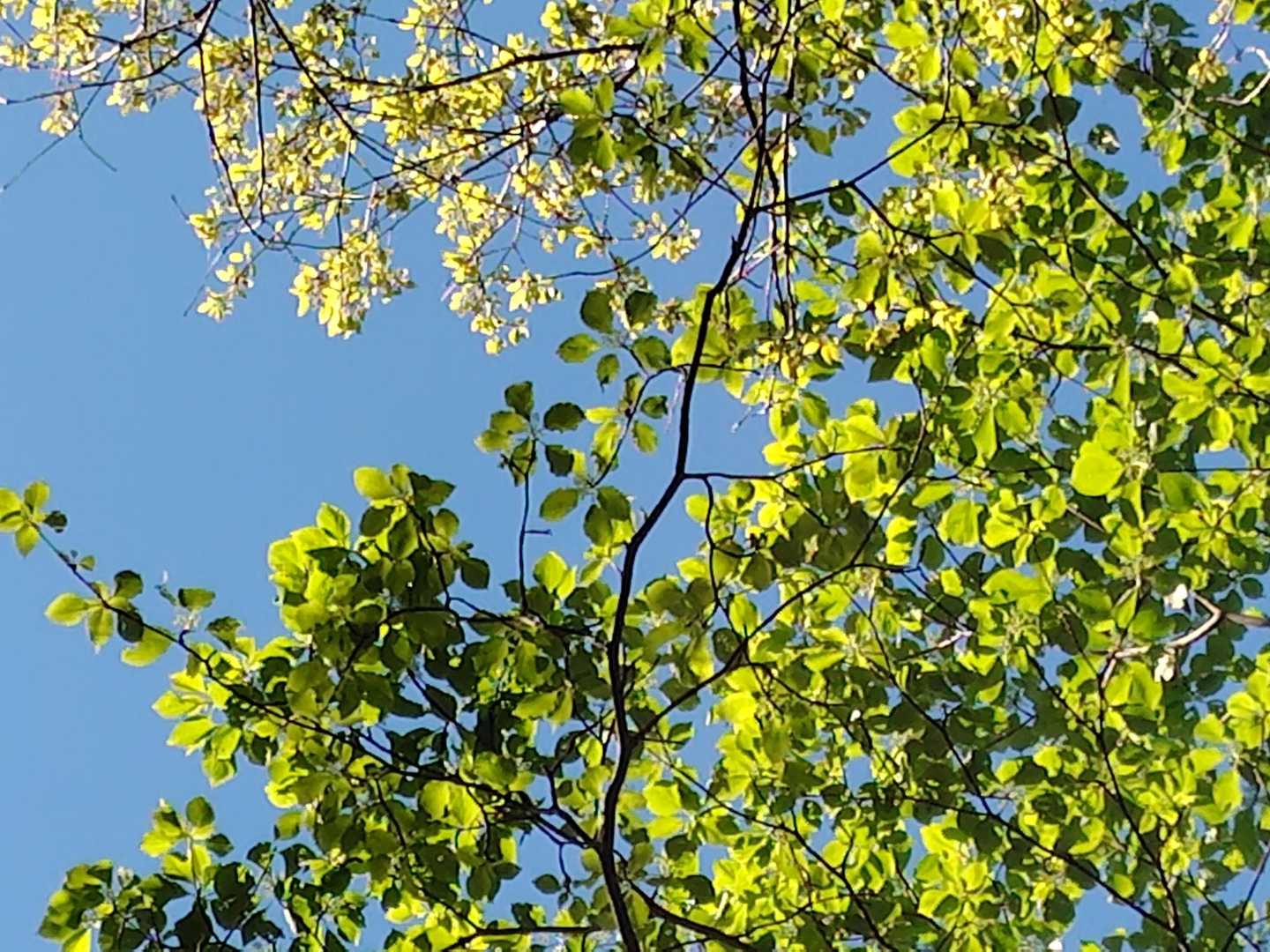 緑と青空も素敵💚💙
