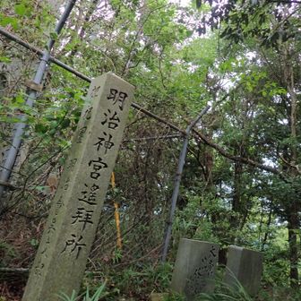 ついでの