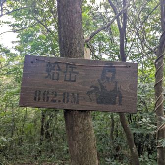 なぜにスタローン？