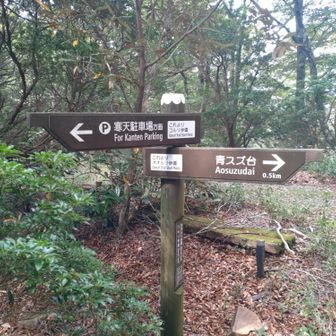 ここからオオルリ歩道。