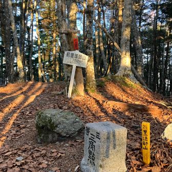 前黒法師山！
黒法師岳を挟み、水窪側にあるのが前黒法師山、寸又峡側にあるのが前黒法師岳という別の山。どちらも前側、後ろなんてない😤