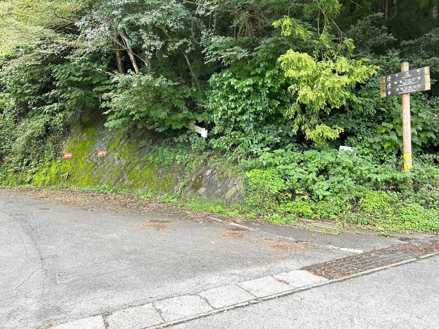 登山口1️⃣