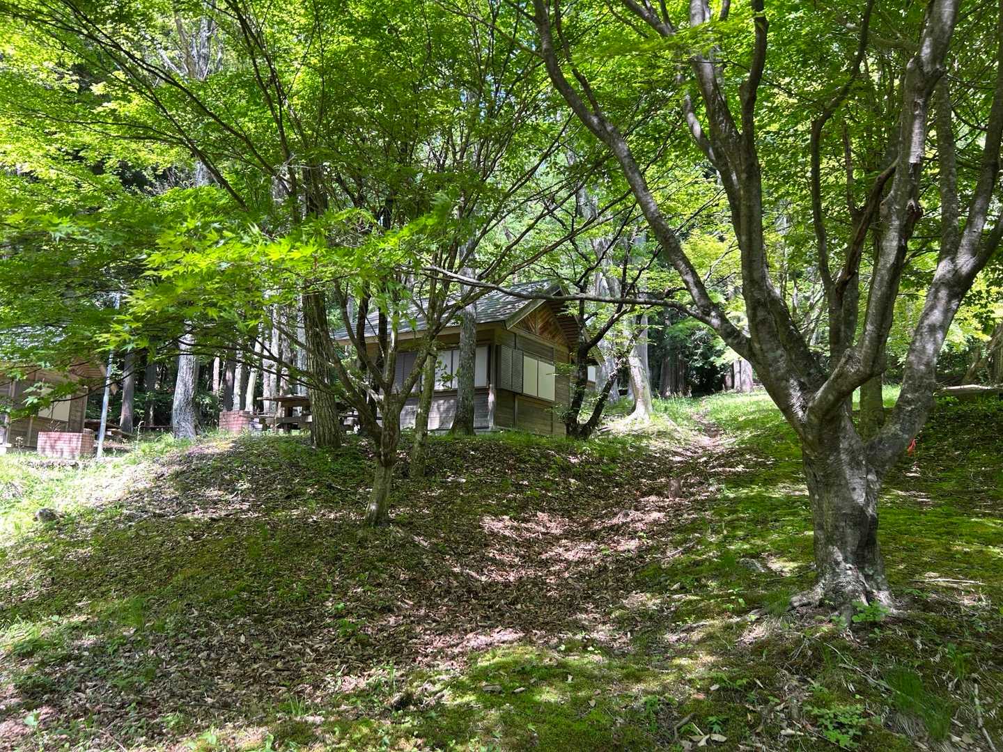 戸倉山キャンプ場からスタート