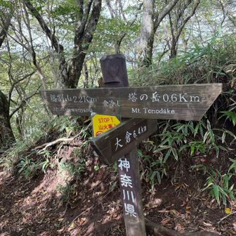 いざ鍋割山。