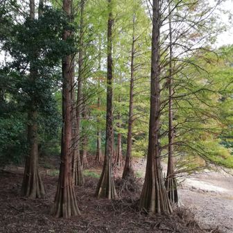 さんちゃん０３