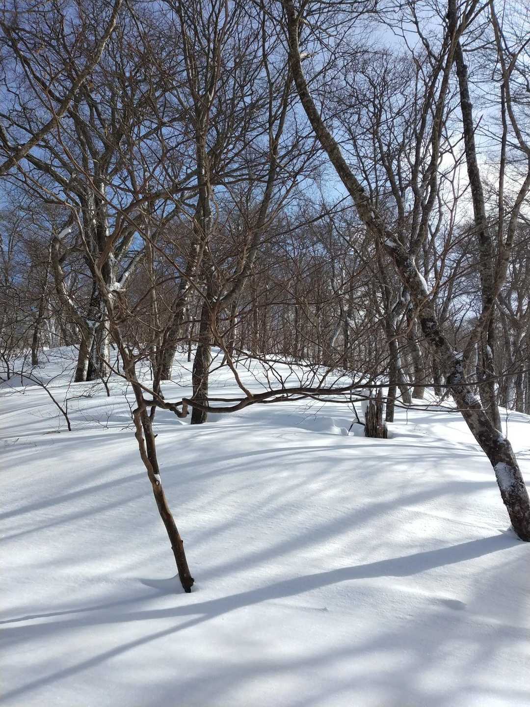 またノートレース！