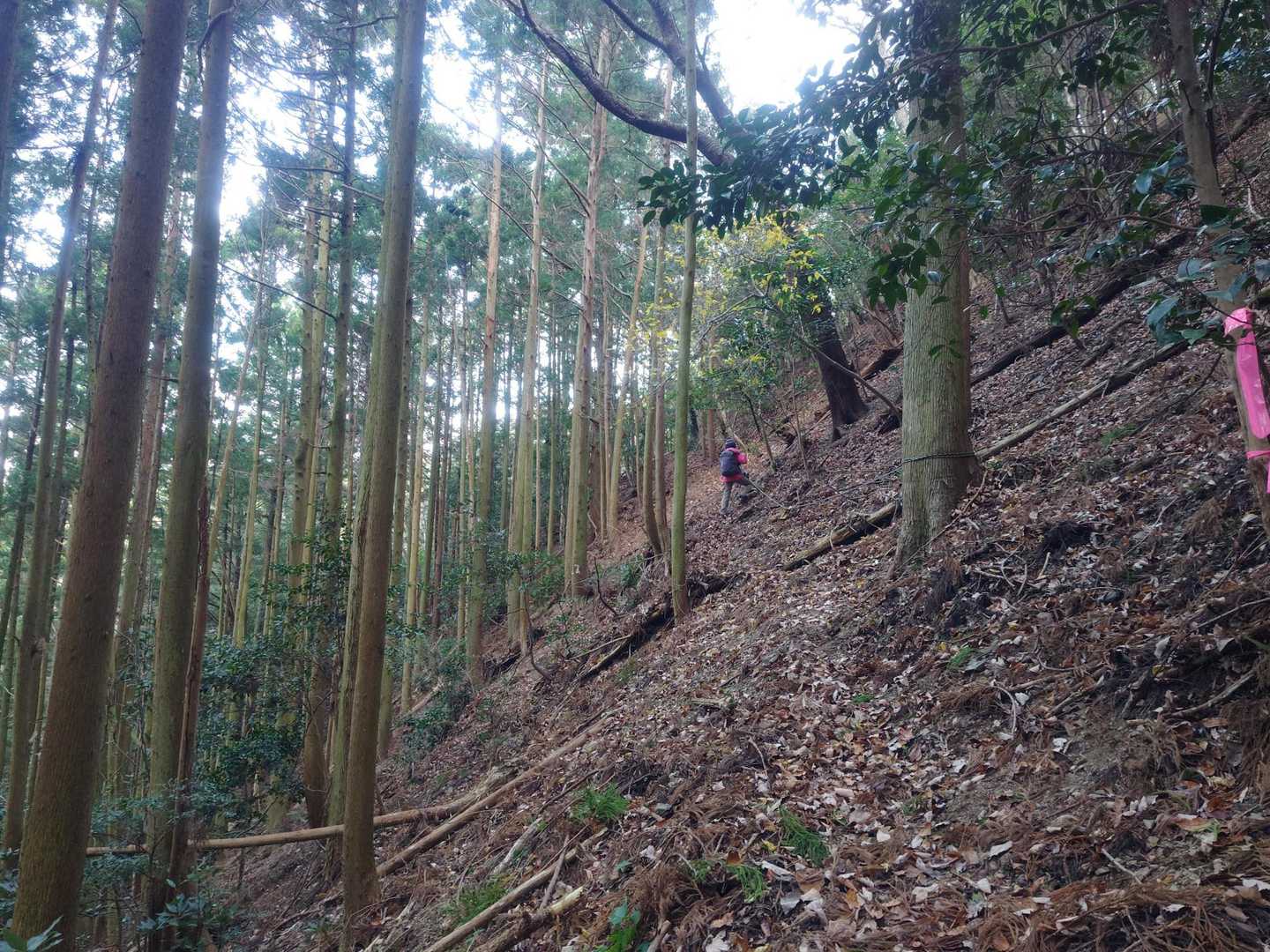 鶴路山 往復コースの写真