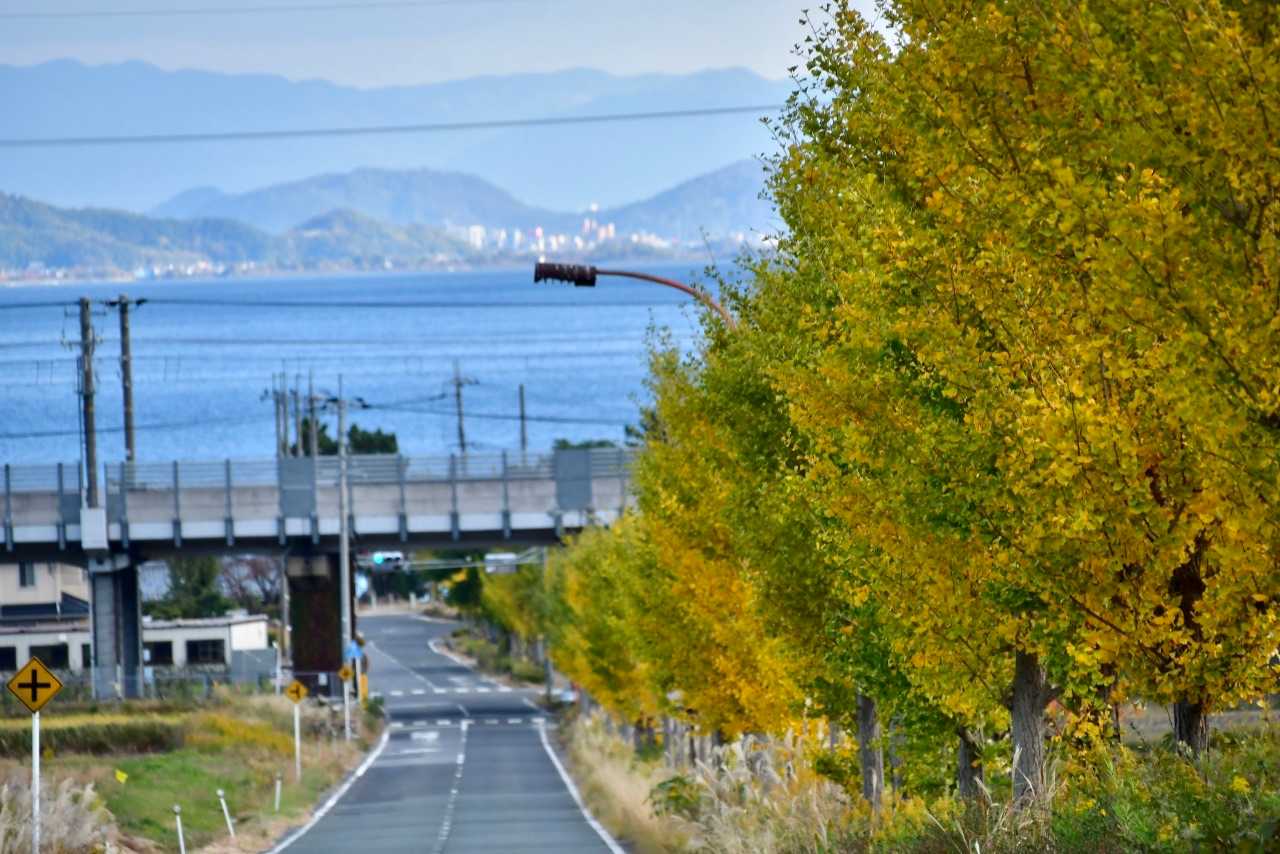 湖西線比良駅まできました。
時間気にせず乗り換えた新快速がなんと当初予定していた電車とは。
初めと終わりは計画通りの落ち。
予定していない山を突然歩くのは不思議な感覚。
無事ありがとうございました。