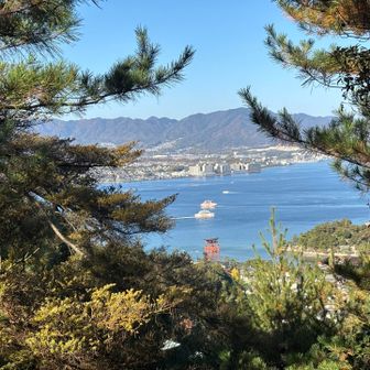 フェリーとのコラボ