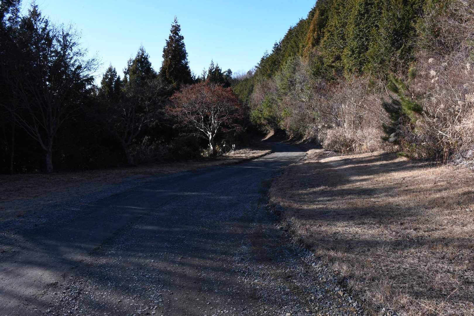 周回ルートで下山しまーす
砕石敷道をずっと歩きました😅
次回はピストンがいいな