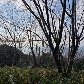 だけど…眺望は😥