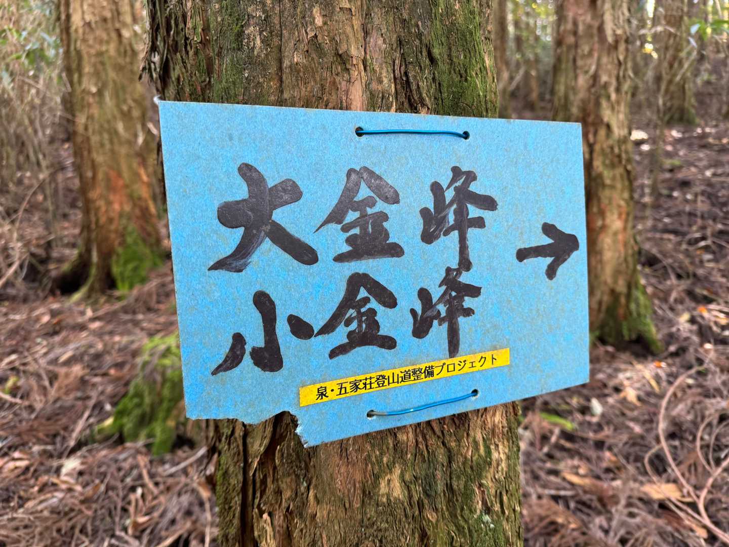 道案内もバッチリ