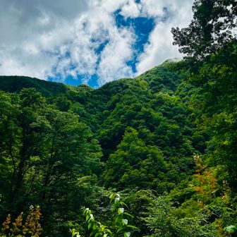 下まで降りて来たら、また晴れて来た🌤️