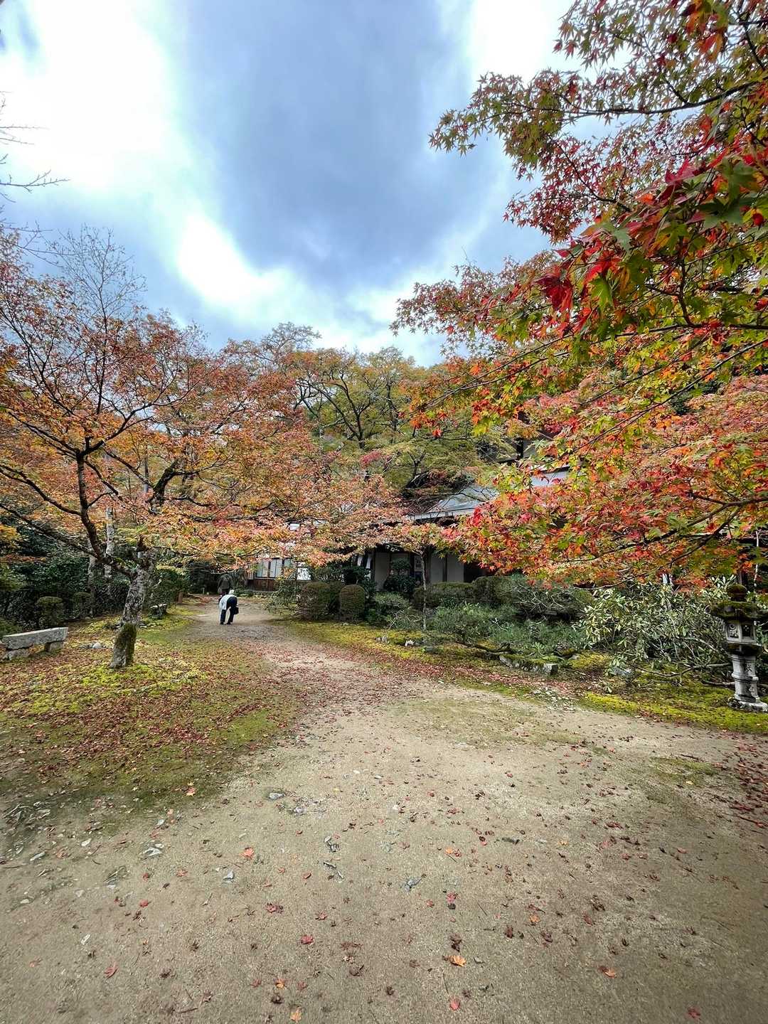 紅葉🍁の西明寺といわれるだけあります！