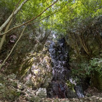 涼しい