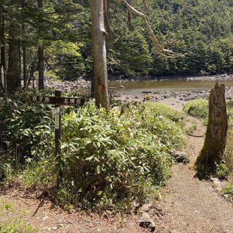 1時間かけて下って亀甲池から、