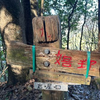 ぼうけんコースを周回しま〜す