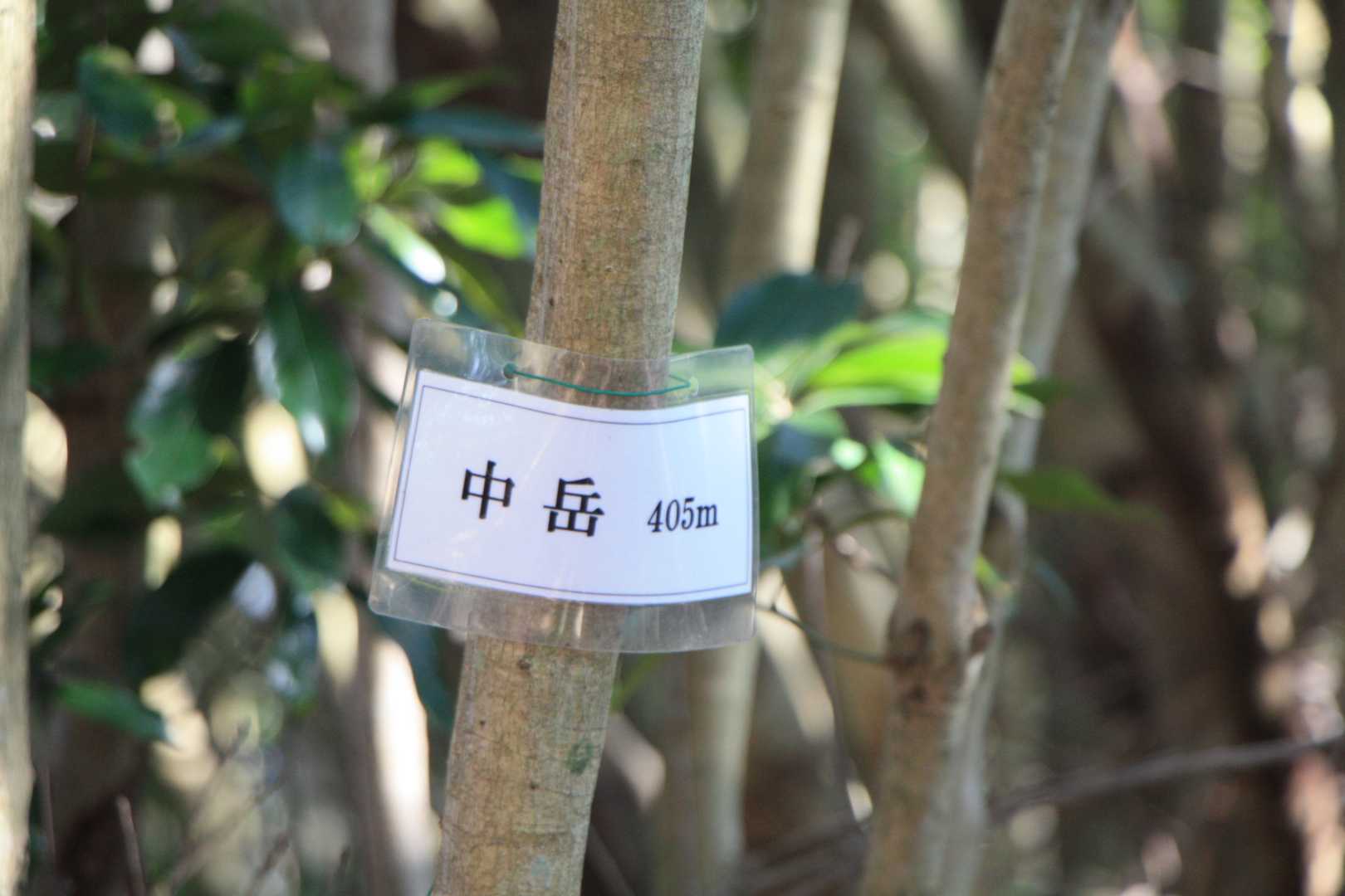 ここにも表示が