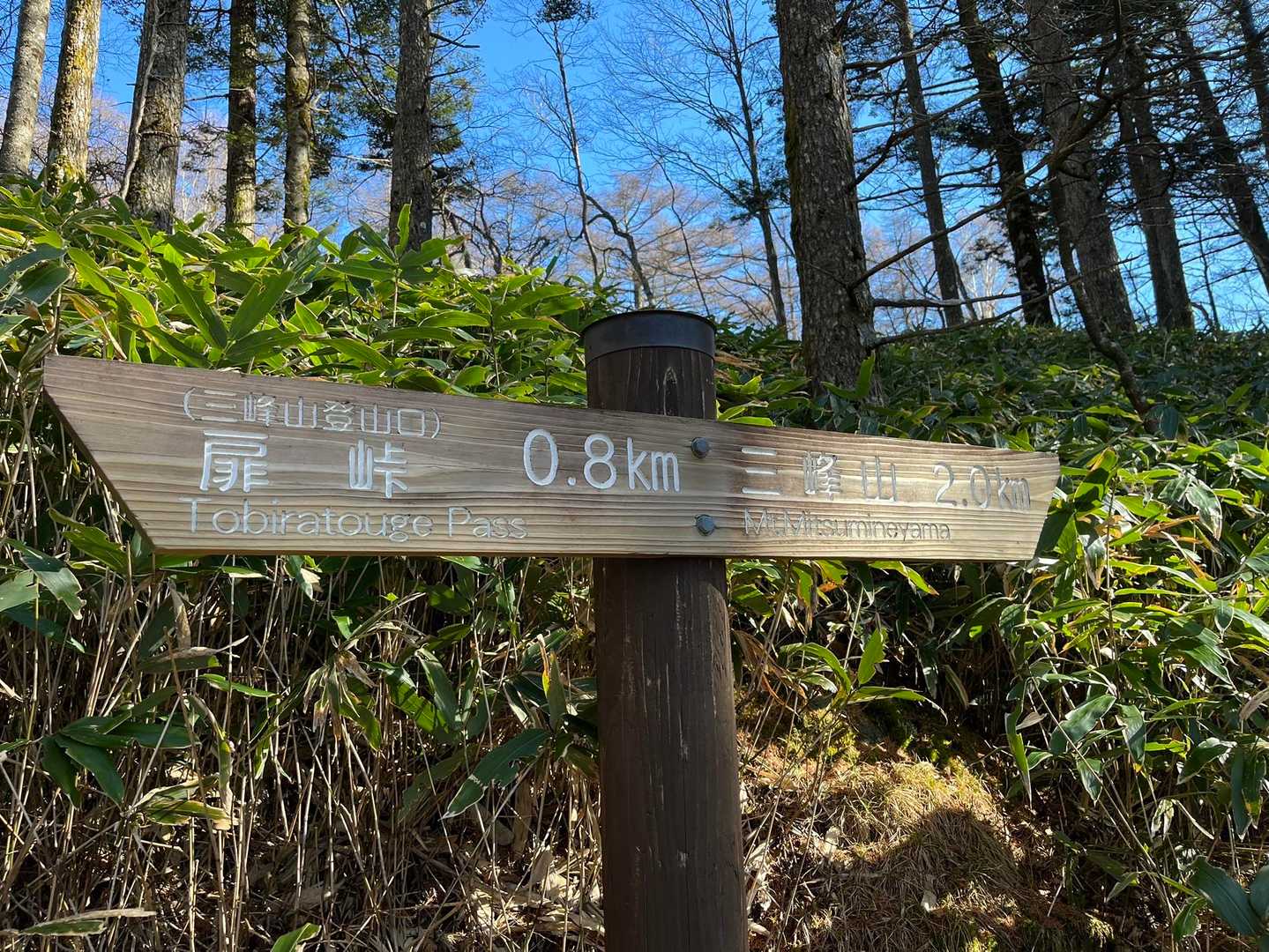茶臼山登山口-扉峠-三峰山 往復コースの写真