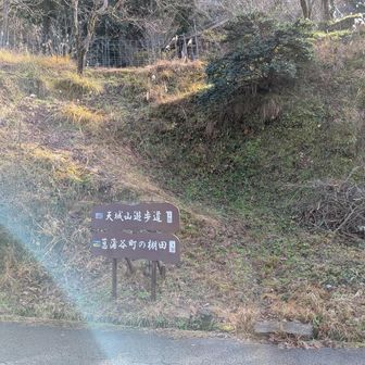 菖蒲谷町の棚田が保存されているのね