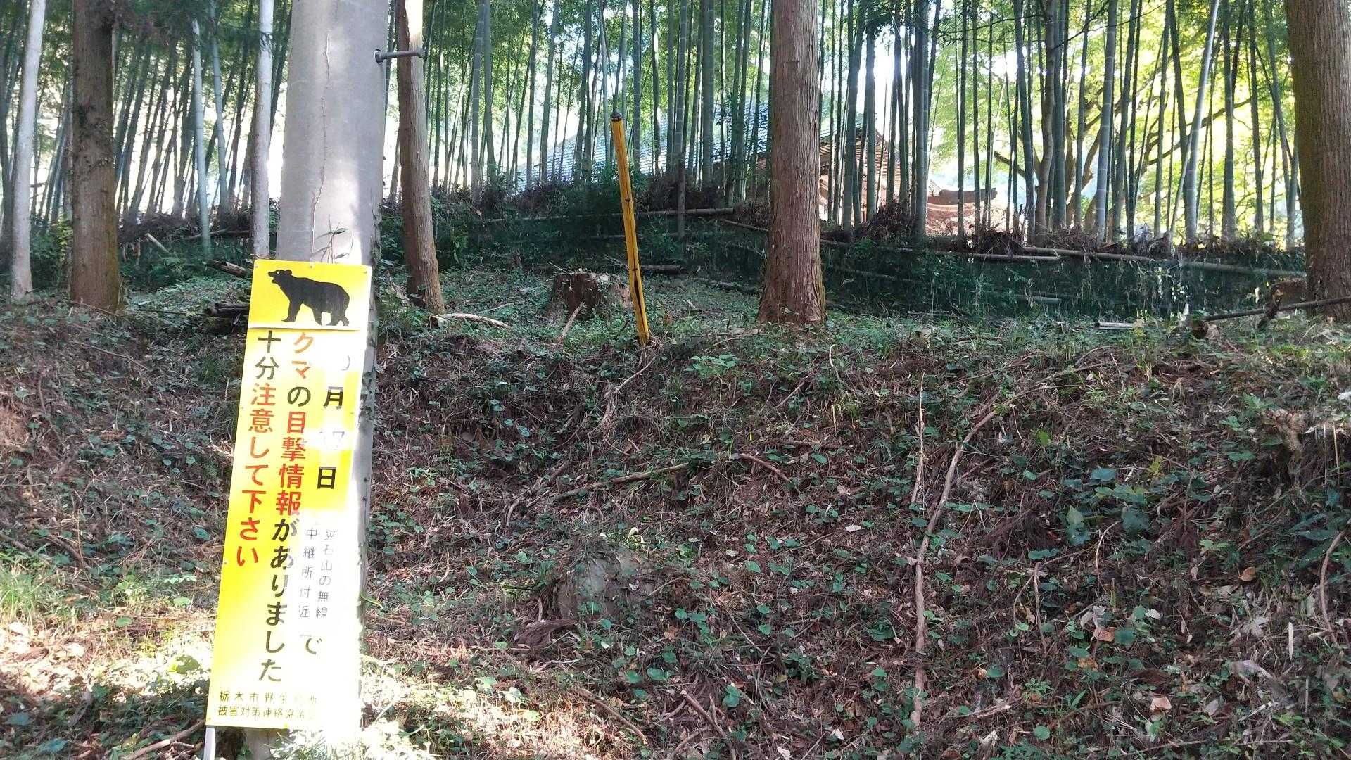 えっ！？クマさんいるんですか？😱