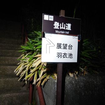 美し森駐車場をスタート
夜中までカップルやら星景写真を撮る人やらで賑やかでした😑ネカセロヤ