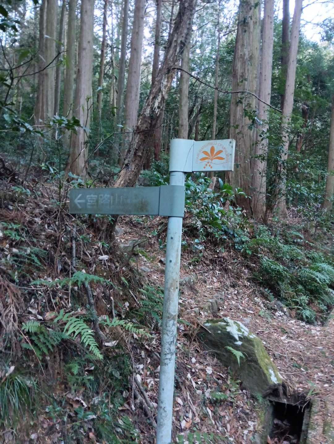 宮路山に向かう。