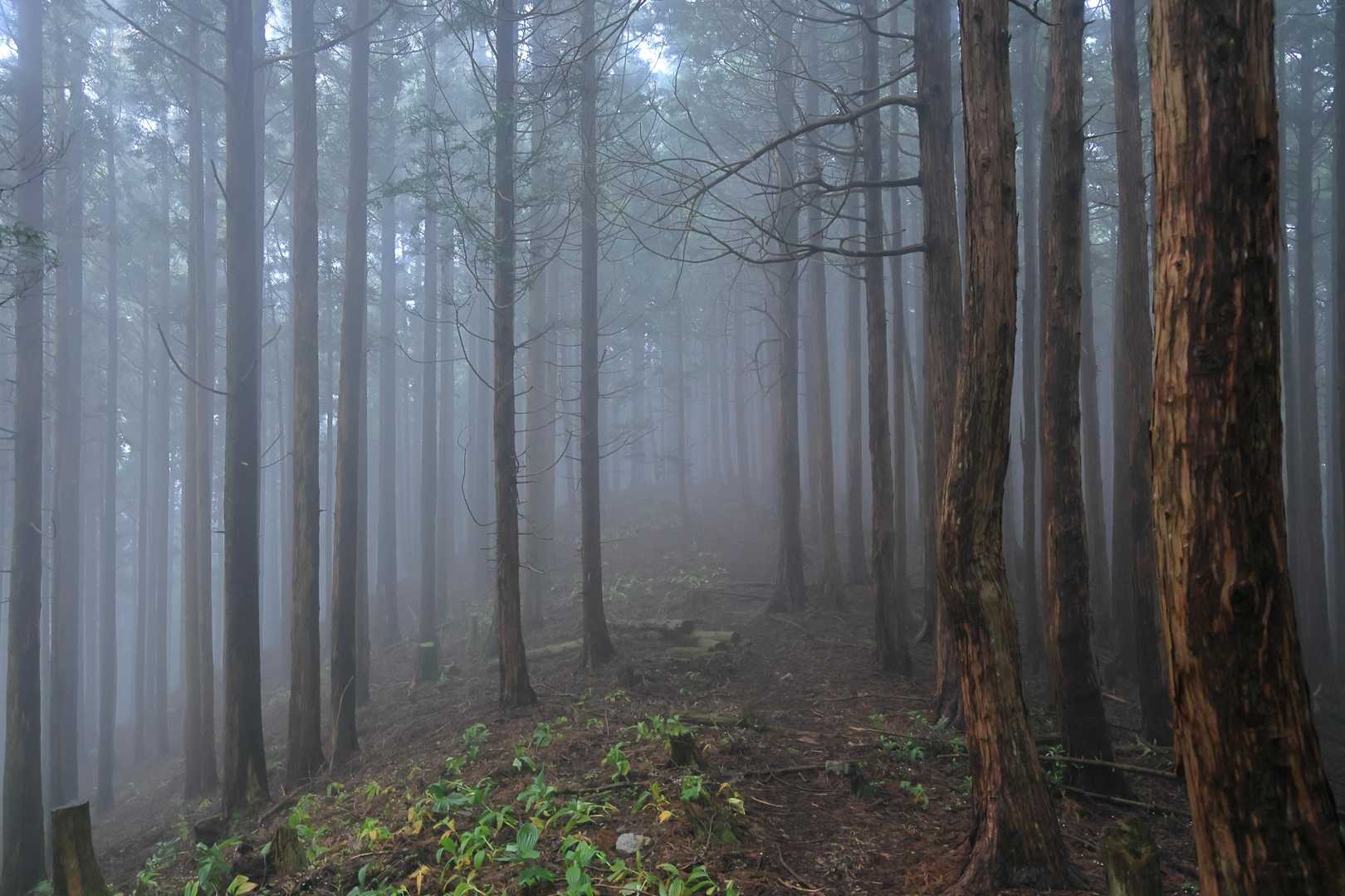 暗くなったり