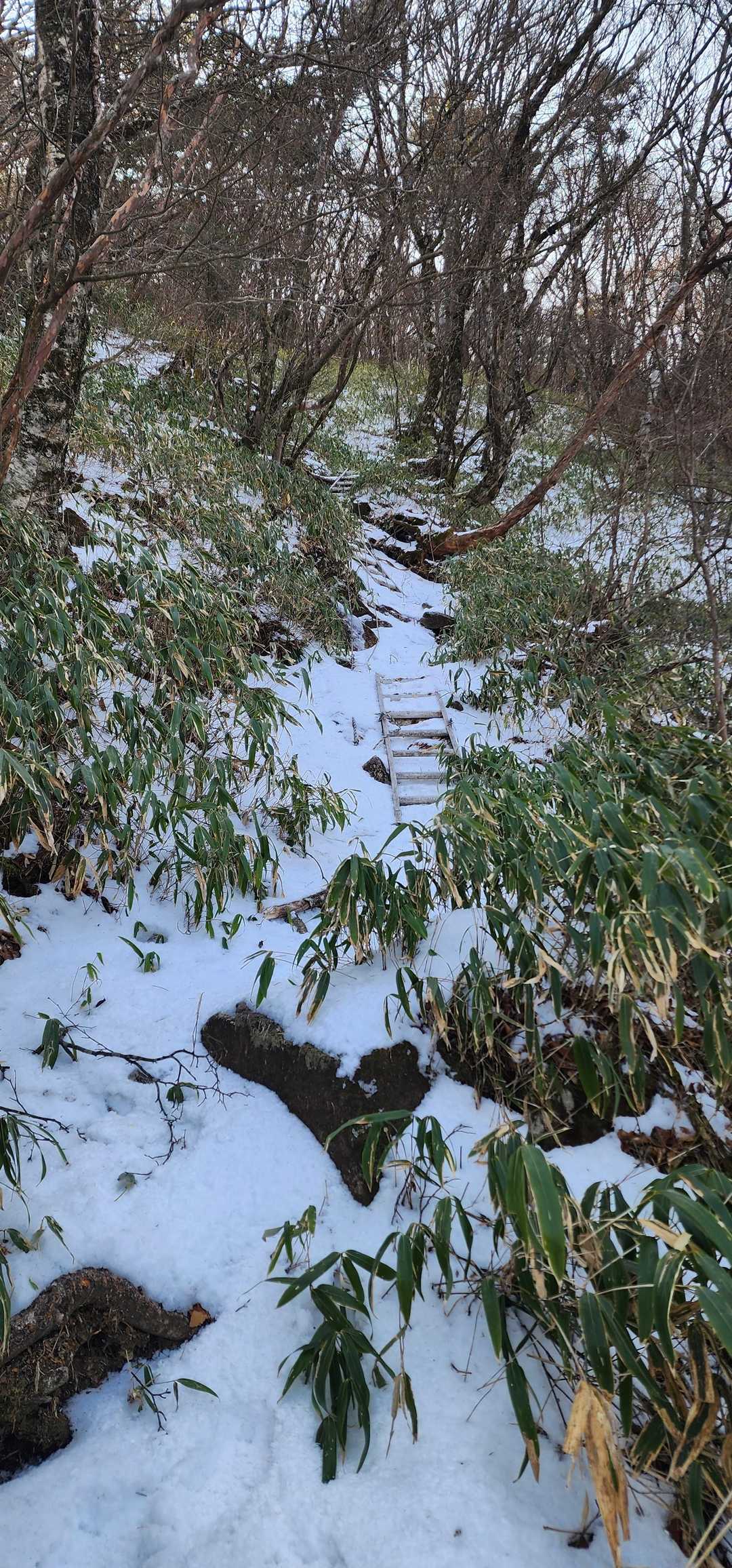 シャクナゲロードから続く雪道。
とくに水場あたりからはスリリングでリスキー。
緊張しながらも、どこか楽しんでいる自分がいた。
