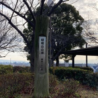 昭和山山頂に到着💪。この後どうしようかと考えてましたが、約3km先にあるIKEAに久しぶりに行ってみる事に。