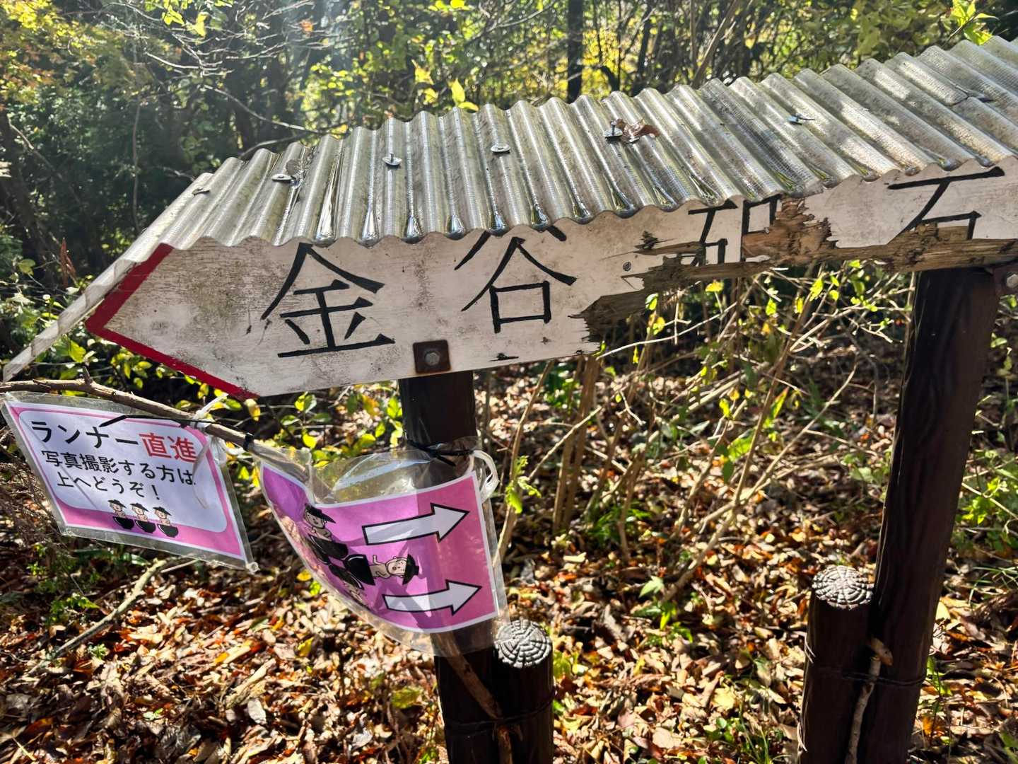 なんとココが城山ピークでちょっと上がればいい景色見れるポイントだったっぽい‼️
映え写真が...🥹