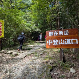 ここから登る