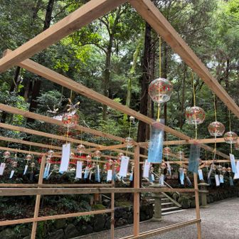 風鈴🎐が風に舞って綺麗な音を奏でてました。