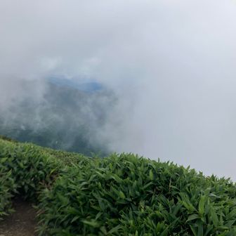 あれ景色が‥