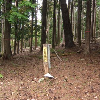 えっ、ここがスタート⁉️

🤣