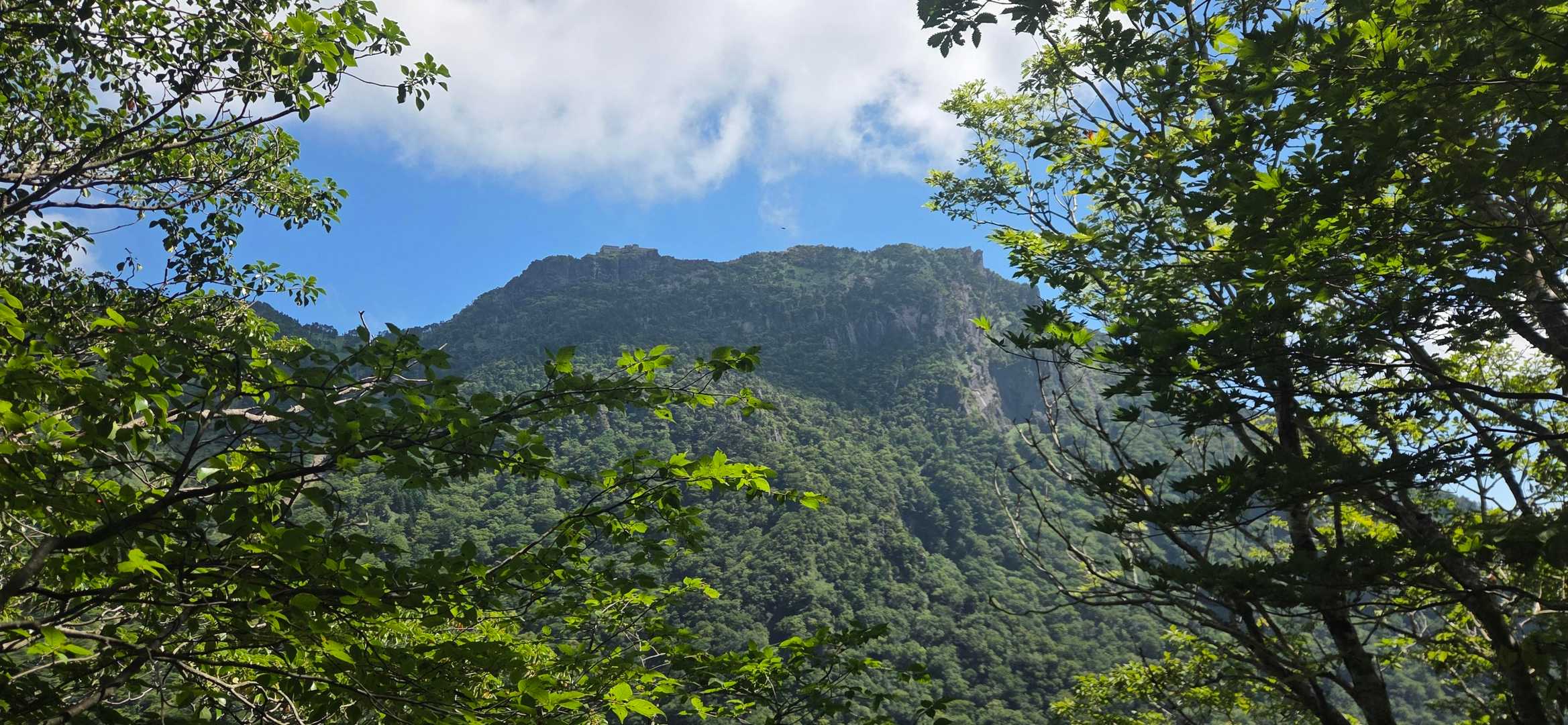 面河渓-面河渓登山口-石鎚山 往復コースの写真