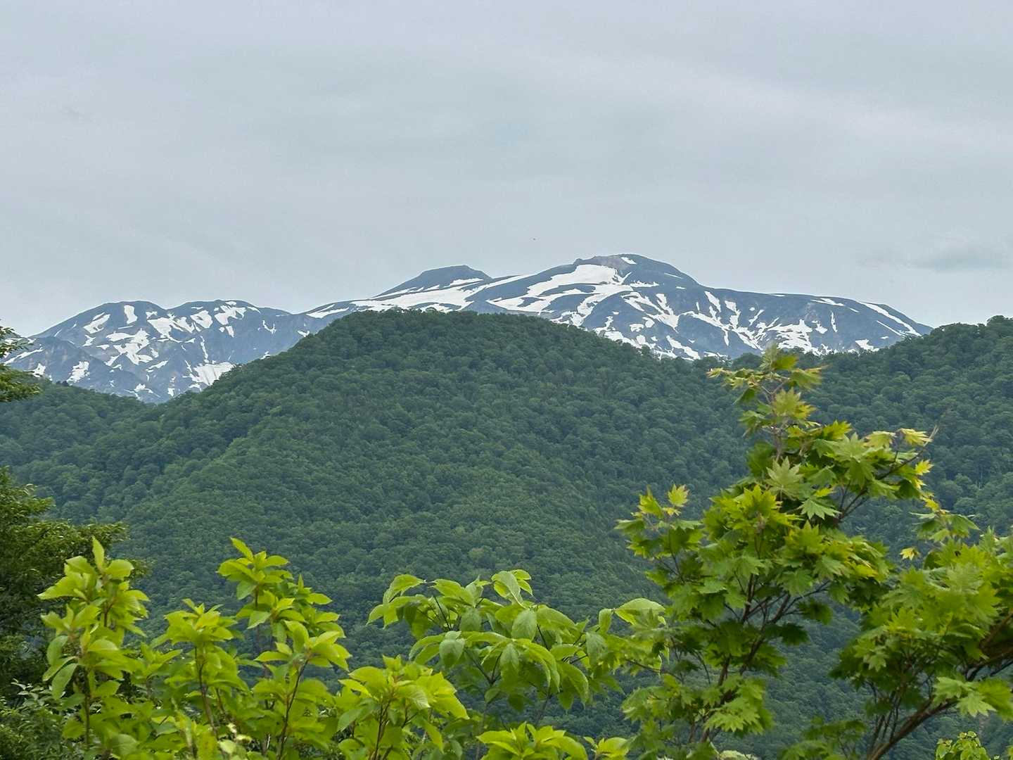 小原峠-赤兎山-裏赤兎山-杉峠-杉峠登山口 周回コースの写真