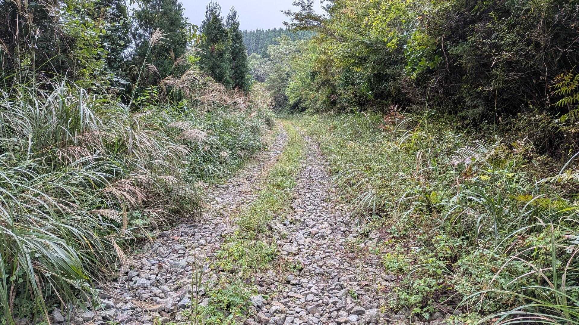 朝陣野登山口-朝陣野 往復コースの写真