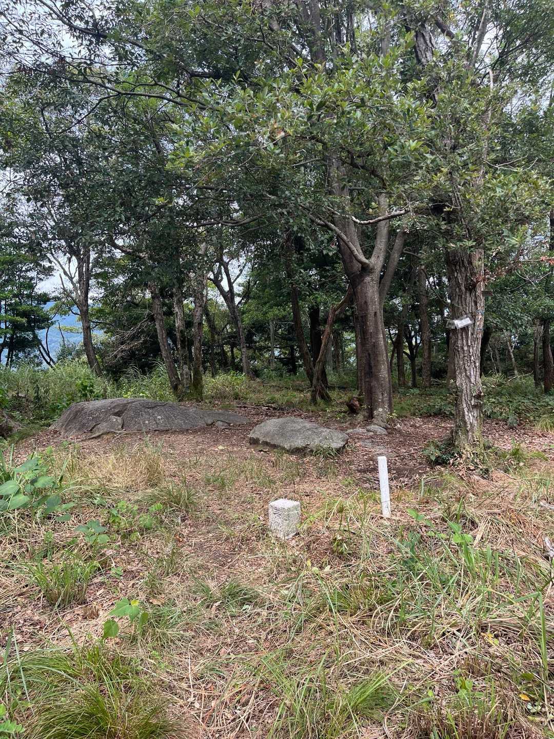 結構広くて、砲台跡がいくつも
風が気持ちよくて、岩に腰掛けてしばしボケ〜っと🫠居心地良いからきっと良い山
ピストンするか、先月別のルート取られてるYamapperさんの道を行くか🤔