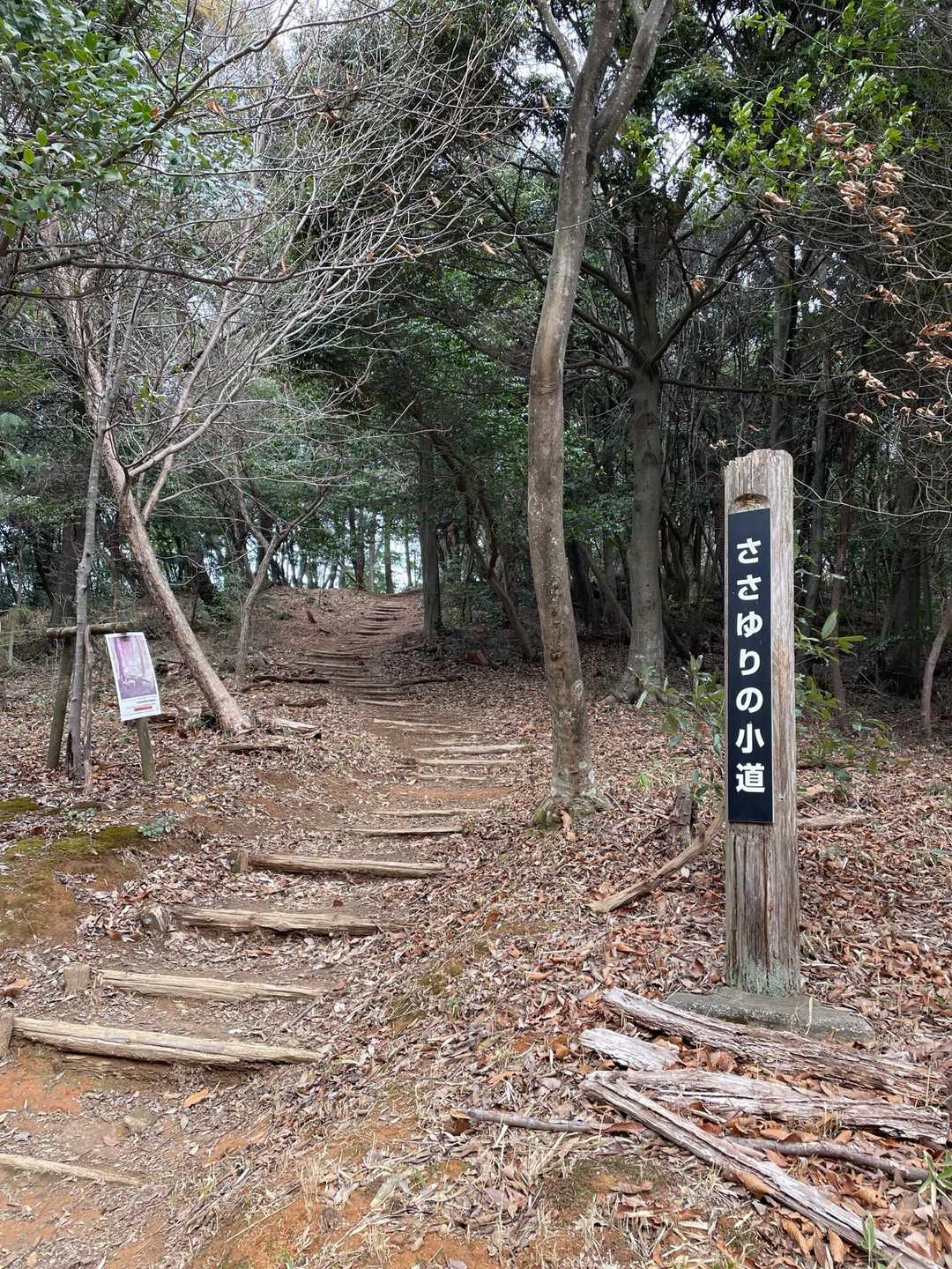 本堂ヶ峰-尾張白山 往復コースの写真