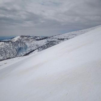 南斜面よさそう